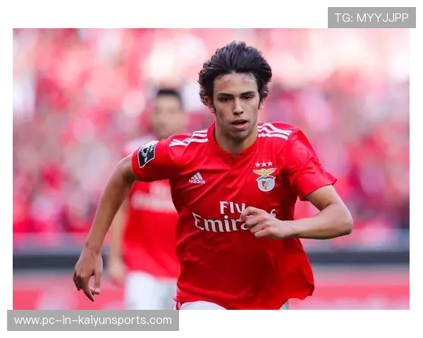 本菲卡欧战持续发光，葡萄牙联赛威望上升